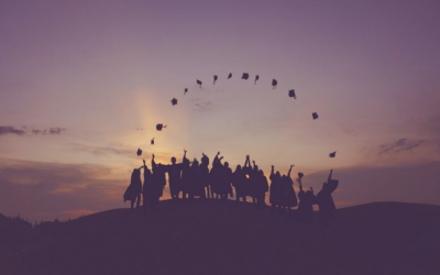 2019最终大学录取情况汇总